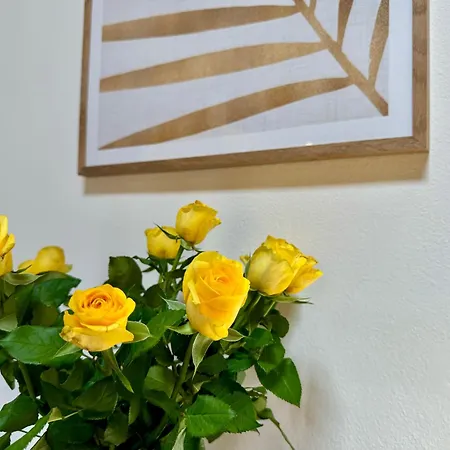 Dimora Dei Sogni Apartmán Imola
